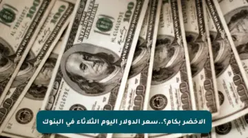 الأخضر بكام؟..سعر الدولار اليوم الثلاثاء في البنوك